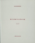 Cover: Bildmischung - Literaturverlag Droschl