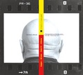 Cover: Augen: Blicke Schrift: St&uuml;cke - Literaturverlag Droschl