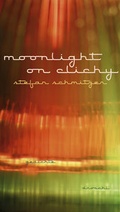 Cover: moonlight on clichy - Literaturverlag Droschl