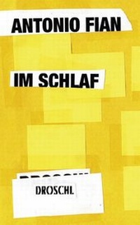 Enlarge image Cover: Im Schlaf - Literaturverlag Droschl