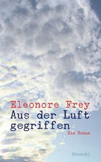 Enlarge image Cover: Aus der Luft gegriffen - Literaturverlag Droschl
