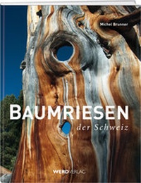 Abbildung von: Baumriesen der Schweiz - Weber Verlag AG