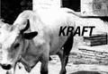 Cover: Kraft - Moc - Drava