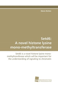 Enlarge image Cover: Setd6 - Südwestdeutscher Verlag für Hochschulschriften