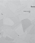 Cover: Tomas Eller - Folio