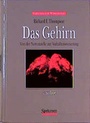 Cover: Das Gehirn - Spektrum Akademischer Verlag