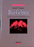 Cover: Das Gehirn - Spektrum Akademischer Verlag