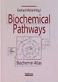 Abbildung von: Biochemical Pathways - Spektrum Akademischer Verlag