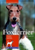 Cover: Foxterrier - Cadmos Verlag