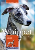 Cover: Whippet - Cadmos Verlag