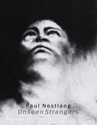 Enlarge image Cover: Paul Nestlang - Brandstätter Verlag