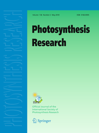 Bild: Photosynthesis Research - Springer