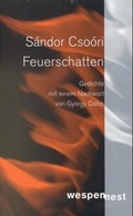 Cover: Feuerschatten - Wespennest