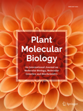 Bild: Plant Molecular Biology - Springer