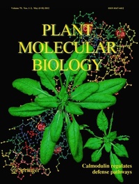 Abbildung von: Plant Molecular Biology - Springer