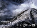 Cover: Bergwasser - Ibera Verlag - European University Press Verlagsgesellschaft m.b.H.