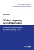 Cover: Effizienzsteigerung durch Sozialkapital - ibidem