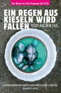 Cover: Ein Regen aus Kieseln wird fallen - Brandes & Apsel