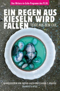 Enlarge image Cover: Ein Regen aus Kieseln wird fallen - Brandes & Apsel