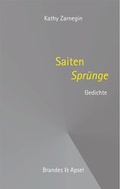 Cover: SaitenSpr&uuml;nge - Brandes & Apsel