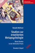 Cover: Studien zur erweiterten Metapsychologie - Brandes & Apsel