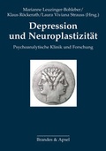 Cover: Depression und Neuroplastizit&auml;t - Brandes & Apsel