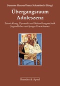 Cover: &Uuml;bergangsraum Adoleszenz - Brandes & Apsel