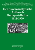 Cover: Der psychoanalytische Aufbruch Budapest-Berlin 1918-1920 - Brandes & Apsel