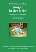 Cover: Jungen in der Krise - Brandes & Apsel