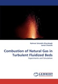 Cover: Combustion of Natural Gas in Turbulent Fluidized Beds - LAP Lambert Academic Publishing