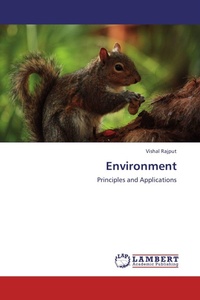 Enlarge image Cover: Environment - LAP Lambert Academic Publishing