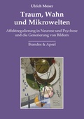 Cover: Traum, Wahn und Mikrowelten - Brandes & Apsel