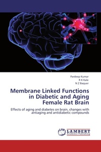 Enlarge image Cover: Membrane Linked Functions in Diabetic and Aging Female Rat Brain - LAP Lambert Academic Publishing