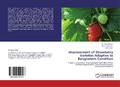 Cover: Improvement of Strawberry Varieties Adaptive to Bangladesh Condition - LAP Lambert Academic Publishing