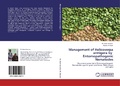 Cover: Management of Helicoverpa armigera by Entomopathogenic Nematodes - LAP Lambert Academic Publishing