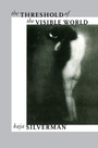 Cover: The Threshold of the Visible World - Routledge