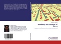 Cover: Modeling the Growth of Slums - LAP Lambert Academic Publishing