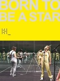 Cover: Born to be a Star - Schlebr&uuml;gge.Editor