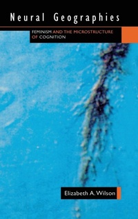 Enlarge image Cover: Neural Geographies - Routledge