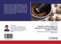 Cover: Studies of the Effects of Nabayas Louha on Different Animal Models - LAP Lambert Academic Publishing