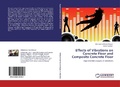 Cover: Effects of Vibrations on Concrete Floor and Composite Concrete Floor - LAP Lambert Academic Publishing