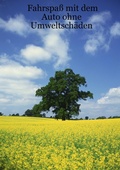 Cover: Fahrspa&szlig; mit dem Auto ohne Umweltsch&auml;den - BoD - Books on Demand