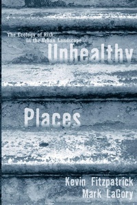 Enlarge image Cover: Unhealthy Places - Routledge