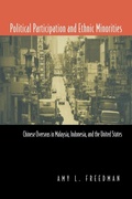 Cover: Political Participation and Ethnic Minorities - Routledge