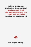 Cover: Analyse und Kritik der Modernisierung um 1900 und um 2000 - Passagen