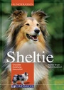 Cover: Sheltie - Cadmos Verlag