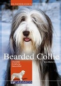 Cover: Bearded Collie - Cadmos Verlag