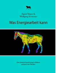 Abbildung von: Was Energiearbeit kann - BoD - Books on Demand