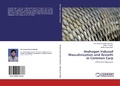 Cover: Androgen Induced Masculinization and Growth in Common Carp - LAP Lambert Academic Publishing