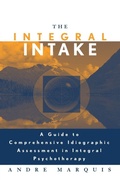 Cover: The Integral Intake - Routledge
